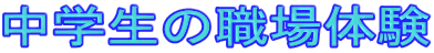 w̐Ě 